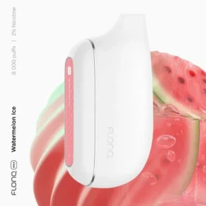 FLONQ Max 8000 Puffs watermelon ice