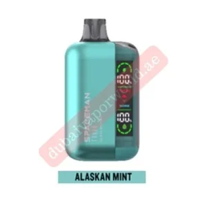 Spaceman Turbo Alaska Mint 15000 Puffs