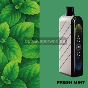 Fummo Nova 50000 puffs fresh mint disposable vape